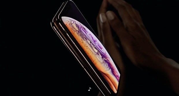 Bir küvet bozuk parayla iPhone XS satın aldı