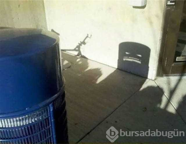 Günün en çok paylaşılan fotoğrafları
