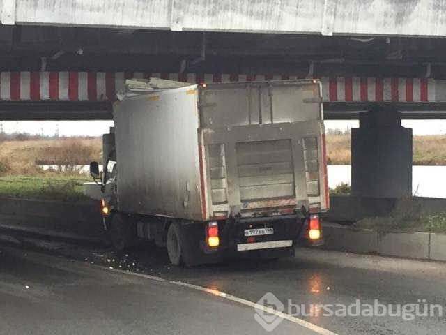 Günün en çok paylaşılan fotoğrafları
