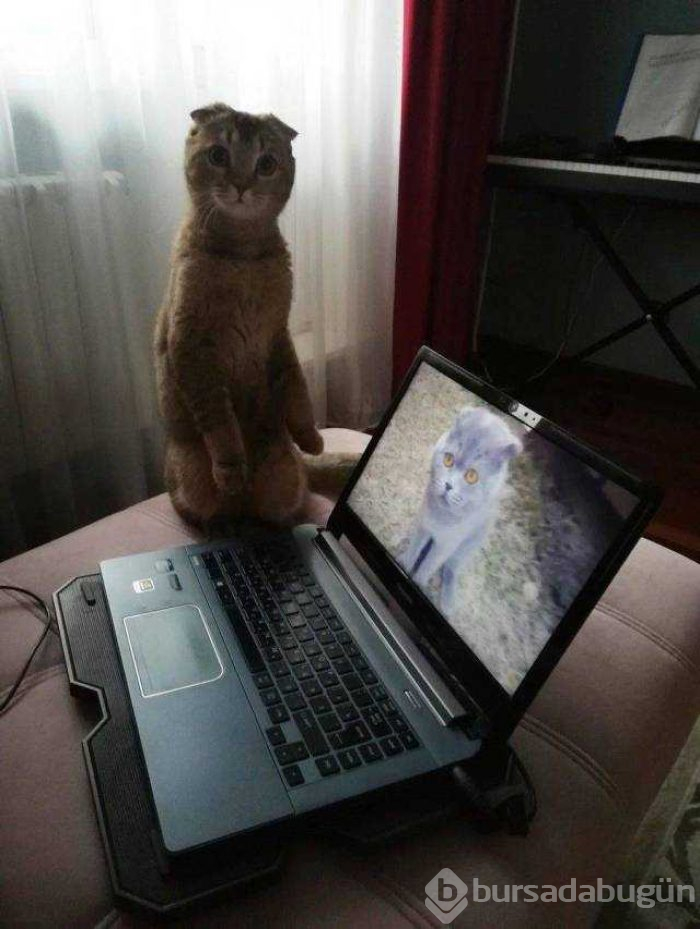 Günün en çok paylaşılan fotoğrafları
