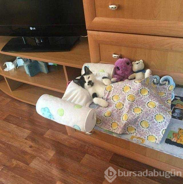 Günün en çok paylaşılan fotoğrafları

