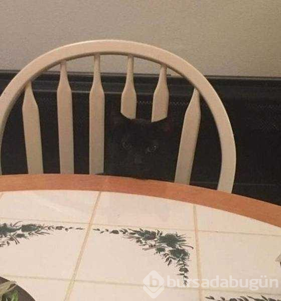 Günün en çok paylaşılan fotoğrafları
