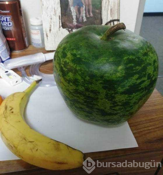 Günün en çok paylaşılan fotoğrafları
