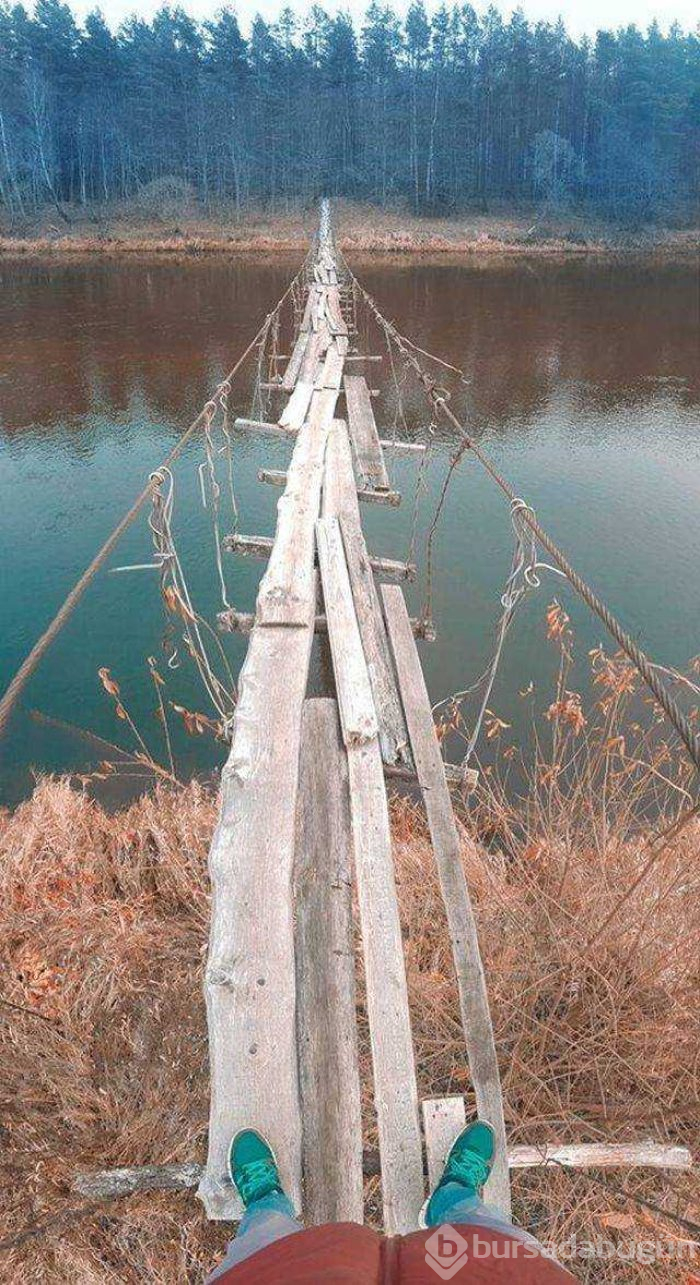 Günün en çok paylaşılan fotoğrafları

