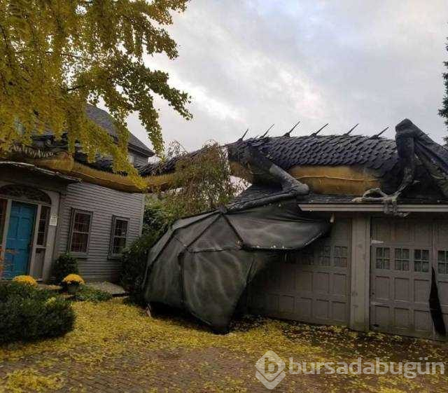 Günün en çok paylaşılan fotoğrafları
