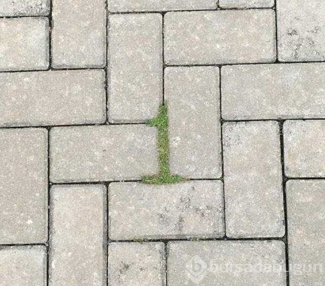 Günün en çok paylaşılan fotoğrafları
