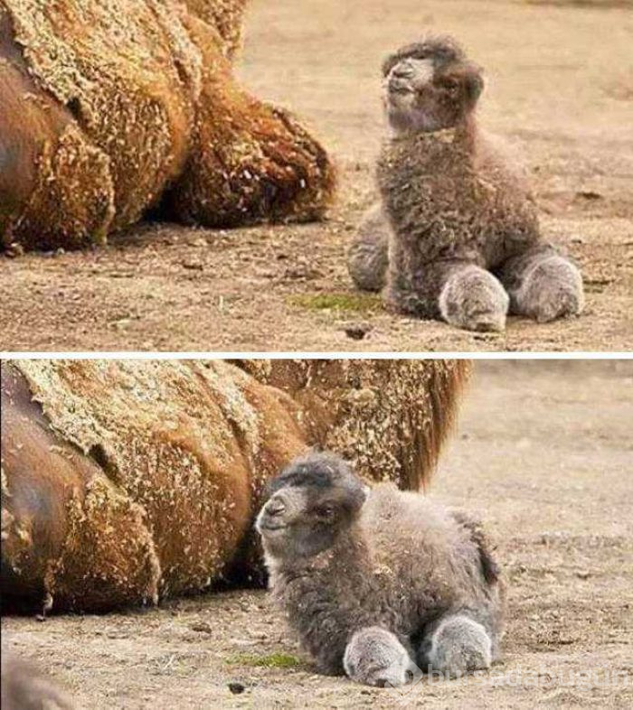 Günün en çok paylaşılan fotoğrafları
