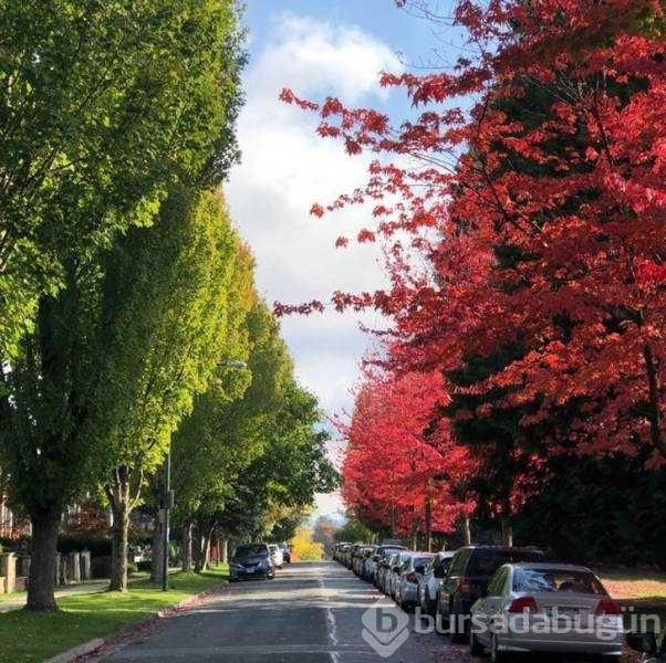 Günün en çok paylaşılan fotoğrafları
