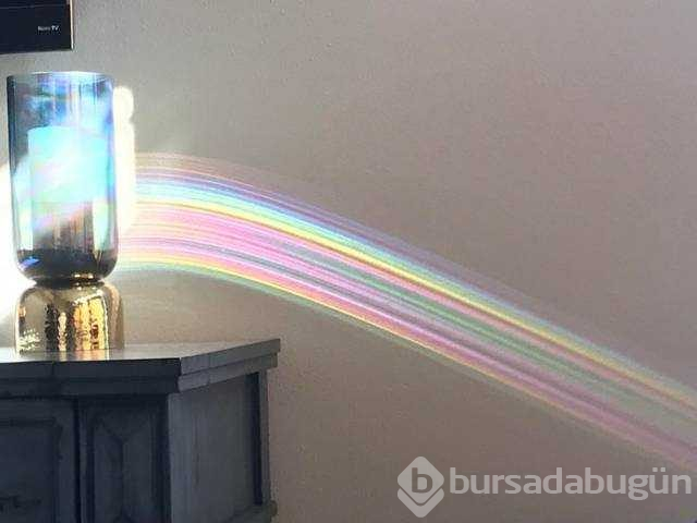 Günün en çok paylaşılan fotoğrafları
