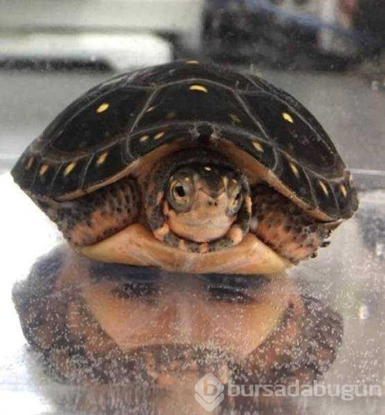 Günün en çok paylaşılan fotoğrafları
