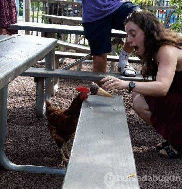 Günün en çok paylaşılan fotoğrafları
