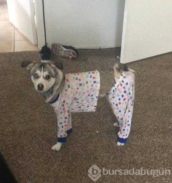 Günün en çok paylaşılan fotoğrafları
