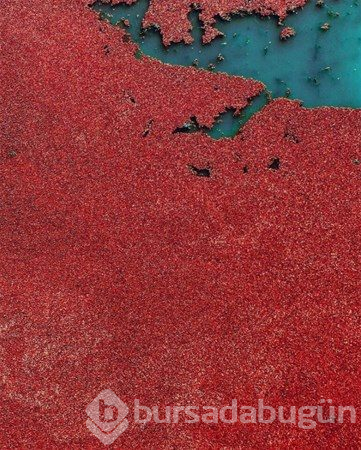 Dünyadan ilginç fotoğraflar
