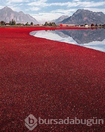 Dünyadan ilginç fotoğraflar
