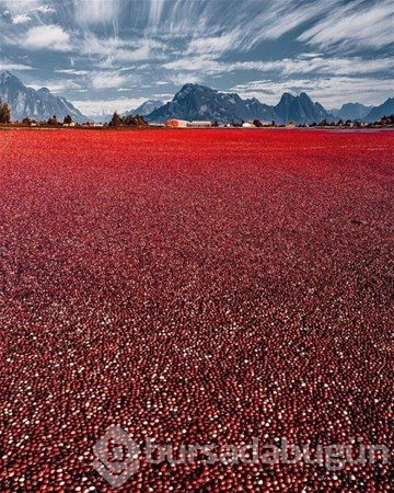 Dünyadan ilginç fotoğraflar
