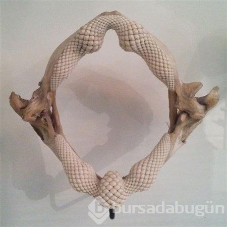 Dünyadan ilginç fotoğraflar
