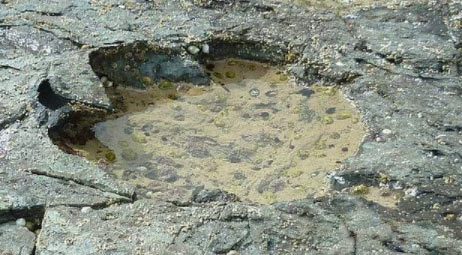 Dünyadan ilginç fotoğraflar

