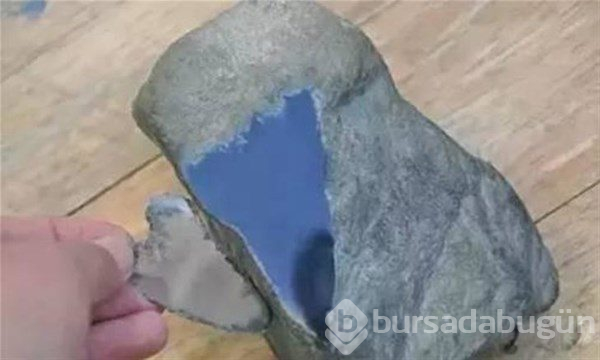 Çıkanlar şok etti...
