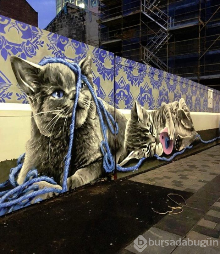 Bir kutu sanat sokaklarda!
