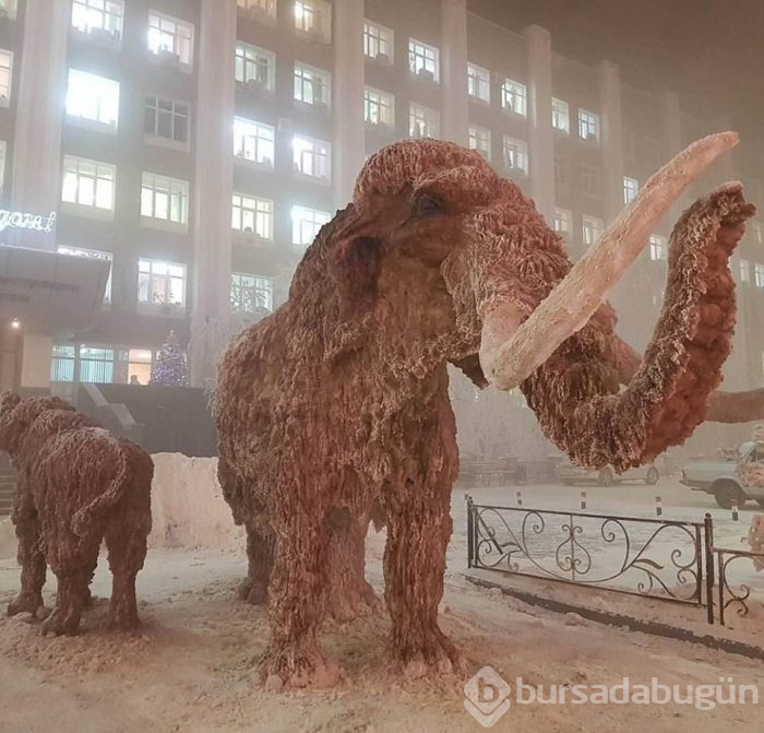 Dünyanın En Soğuk Köyünde Hayat
