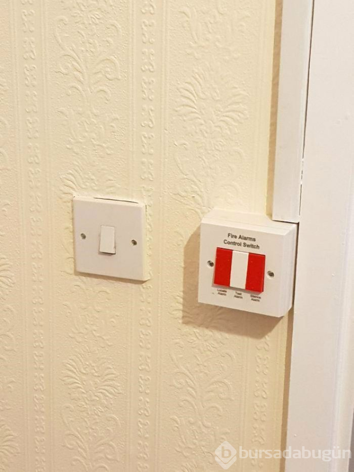 Gerçek olduğuna inanmak istemeyeceğiniz tasarımlar