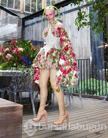 Aman moda olmasın
