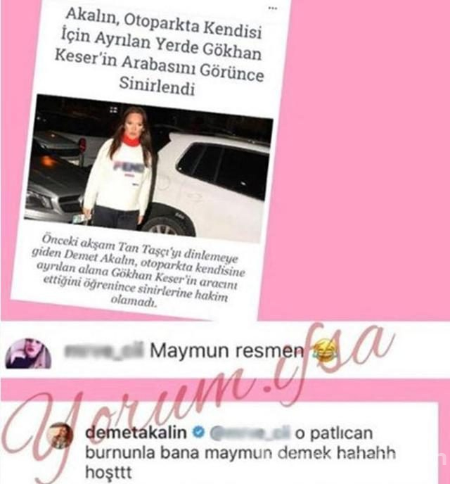 Demet Akalın'dan kendisine 'maymun' diyen takipçisine ayar!

