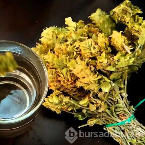 Bu bitki çayları cildinizi canlandırıyor
