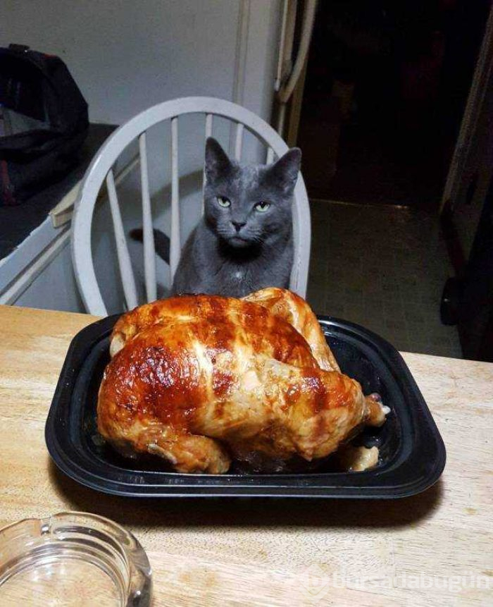 Günün en çok paylaşılan fotoğrafları (21.11.2018)
