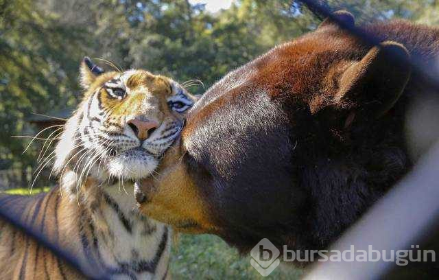 Günün en çok paylaşılan fotoğrafları (21.11.2018)
