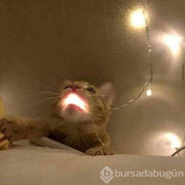Günün en çok paylaşılan fotoğrafları (21.11.2018)
