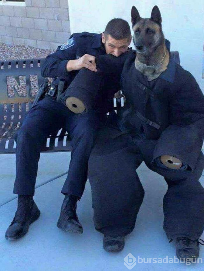 Günün en çok paylaşılan fotoğrafları (21.11.2018)
