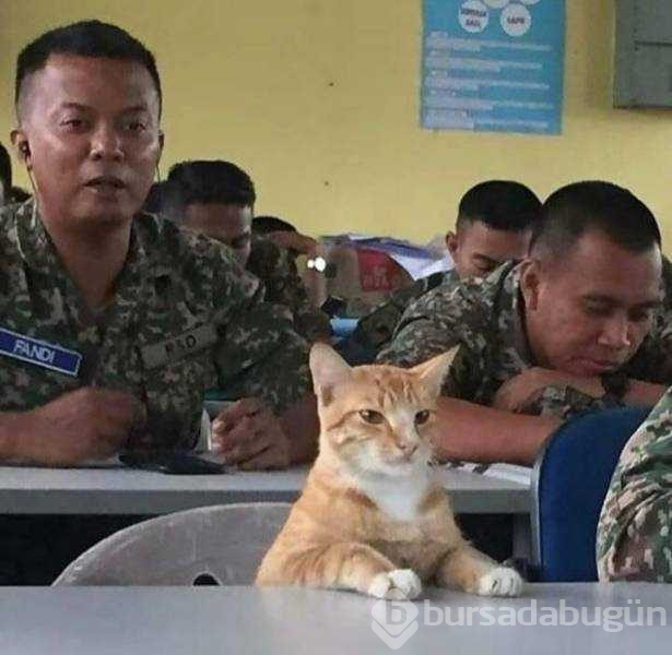 Günün en çok paylaşılan fotoğrafları (21.11.2018)
