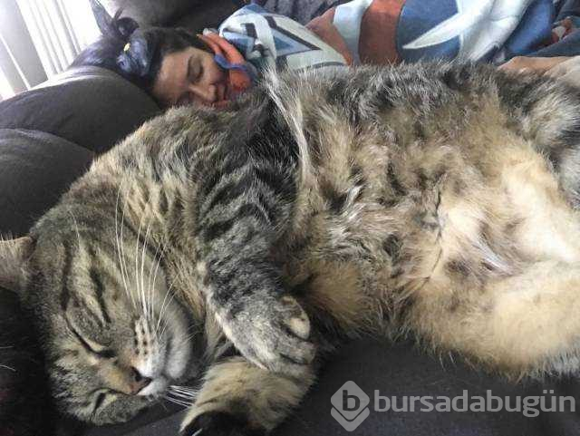Günün en çok paylaşılan fotoğrafları (21.11.2018)
