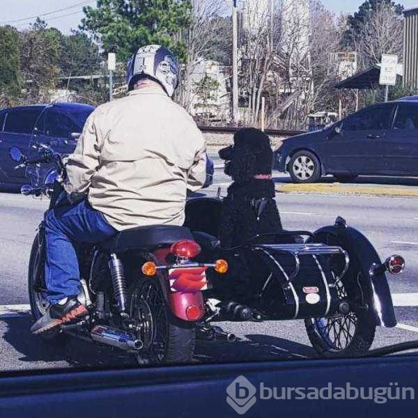 Günün en çok paylaşılan fotoğrafları (21.11.2018)
