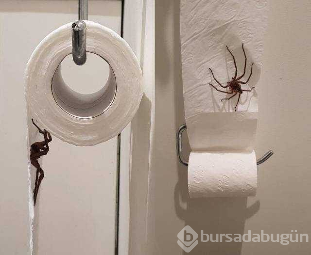 Günün en çok paylaşılan fotoğrafları (21.11.2018)
