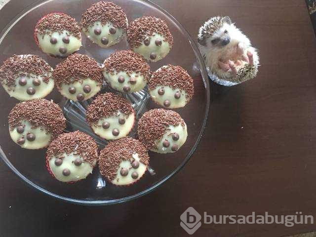 Günün en çok paylaşılan fotoğrafları (21.11.2018)
