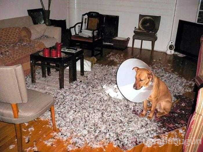 Dünyanın en talihsiz insanları
