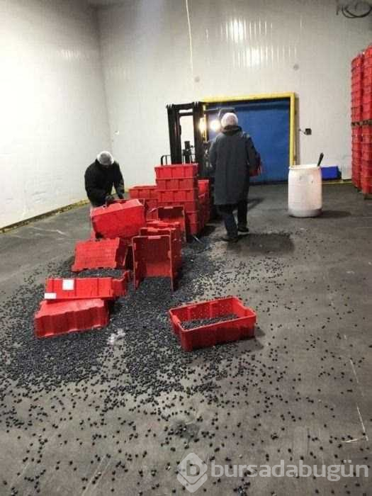 Dünyanın en talihsiz insanları

