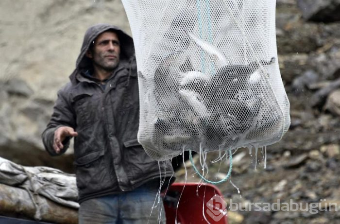 Böyle çıkarılıyor... 12 bin nüfuslu ilçeden milyon nüfuslu ülkelere ihraç ediliyor!
