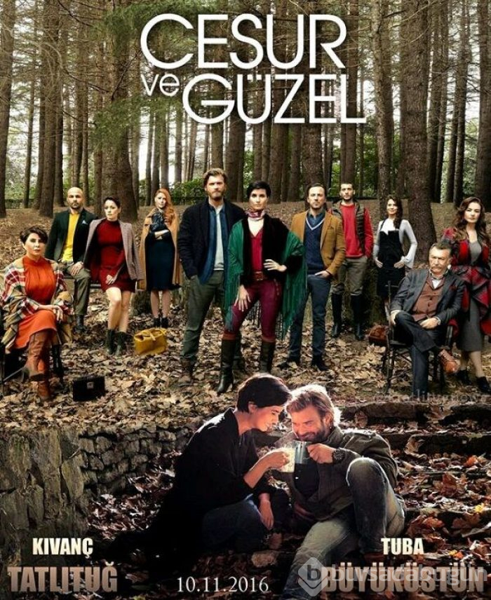 En iyi Türk dizileri (IMDb verileri)