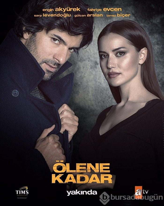 En iyi Türk dizileri (IMDb verileri)