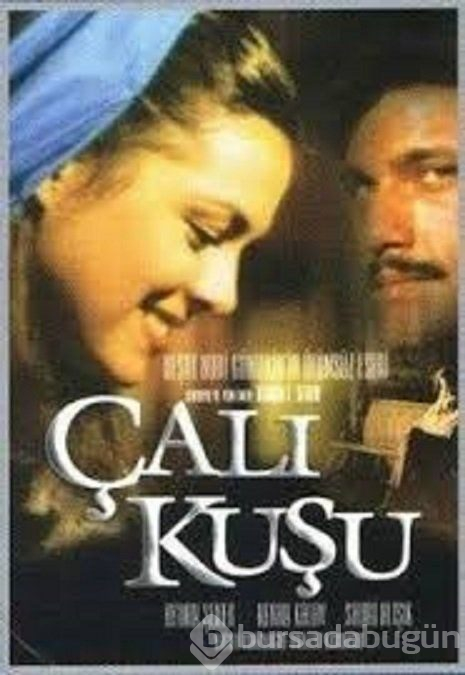 En iyi Türk dizileri (IMDb verileri)