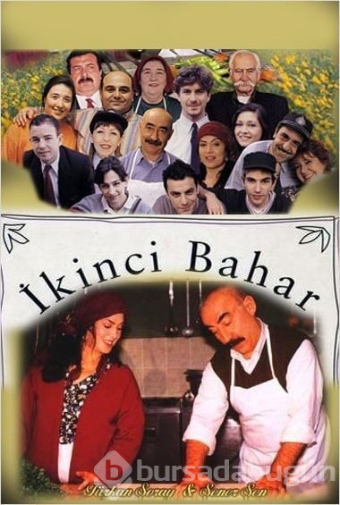 En iyi Türk dizileri (IMDb verileri)