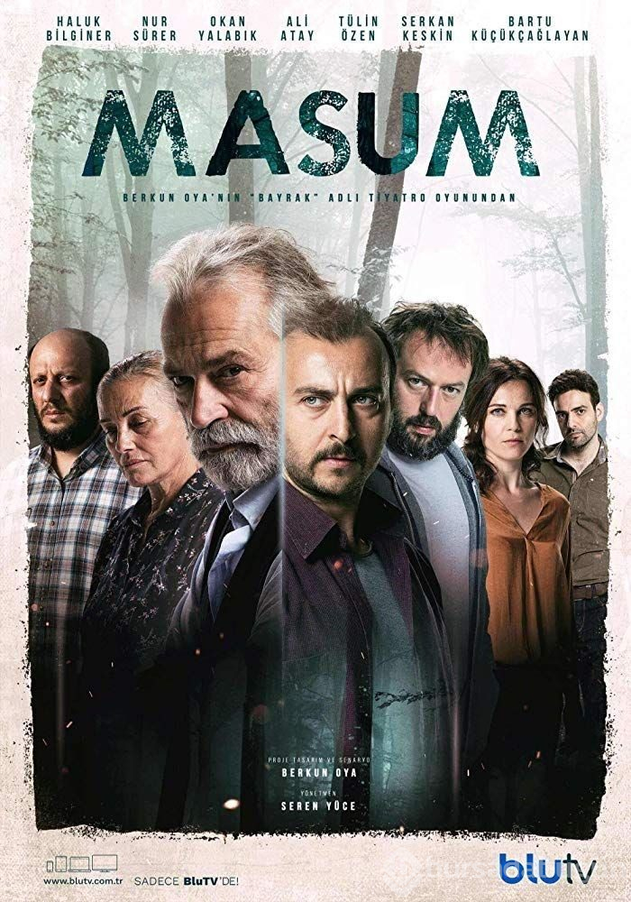 En iyi Türk dizileri (IMDb verileri)