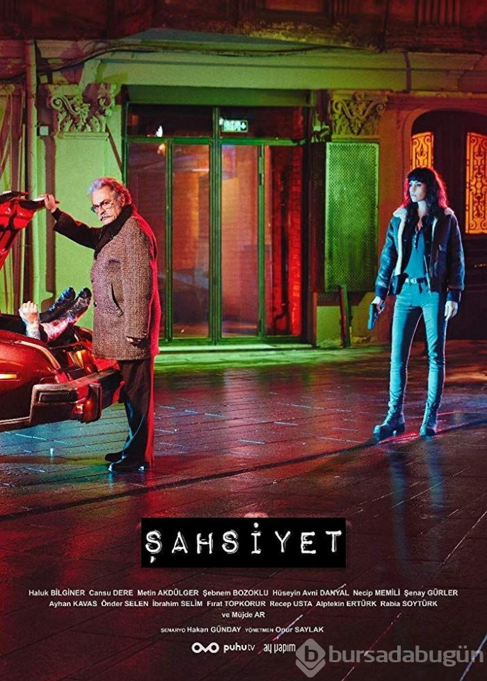 En iyi Türk dizileri (IMDb verileri)
