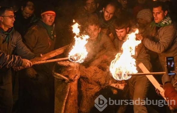 Diri diri yaktılar! Vahşi görüntülere tepki
