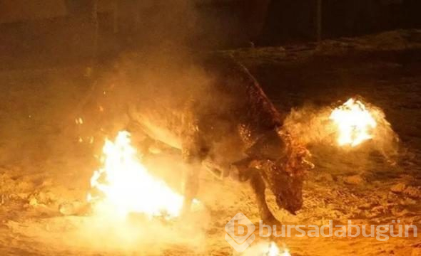 Diri diri yaktılar! Vahşi görüntülere tepki
