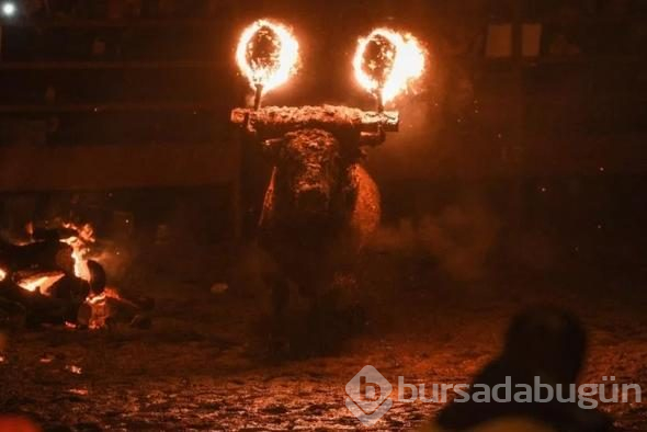 Diri diri yaktılar! Vahşi görüntülere tepki
