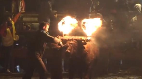 Diri diri yaktılar! Vahşi görüntülere tepki
